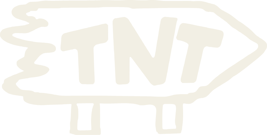 Retour à l'accueil du TNT